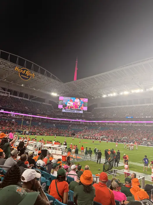 Packed stadium crowd on game day under the lights